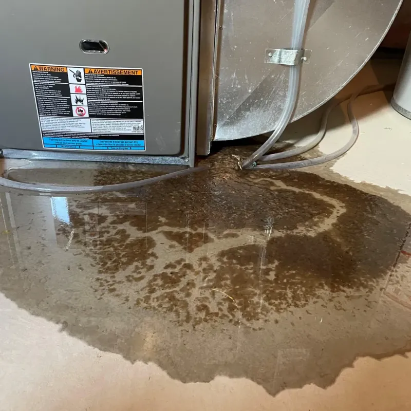 Appliance Leak Cleanup in Casselton, ND